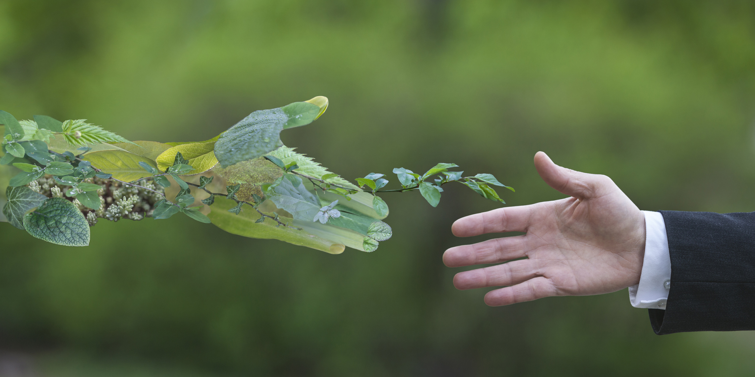 Sustainability